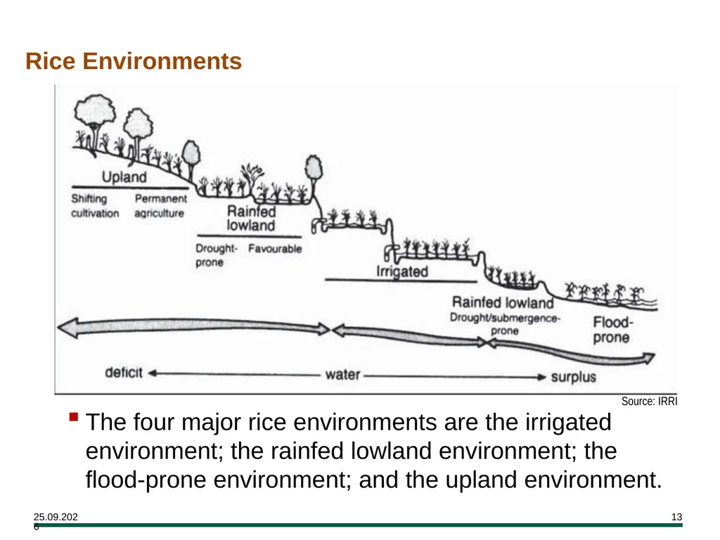 MODULE 7 Crop Establishment Objectives By the end - slide 13 of 99