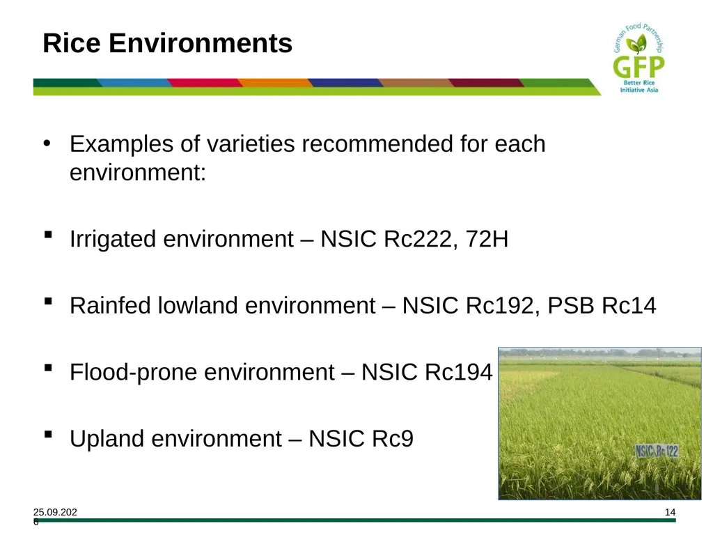 MODULE 7 Crop Establishment Objectives By the end - slide 14 of 99