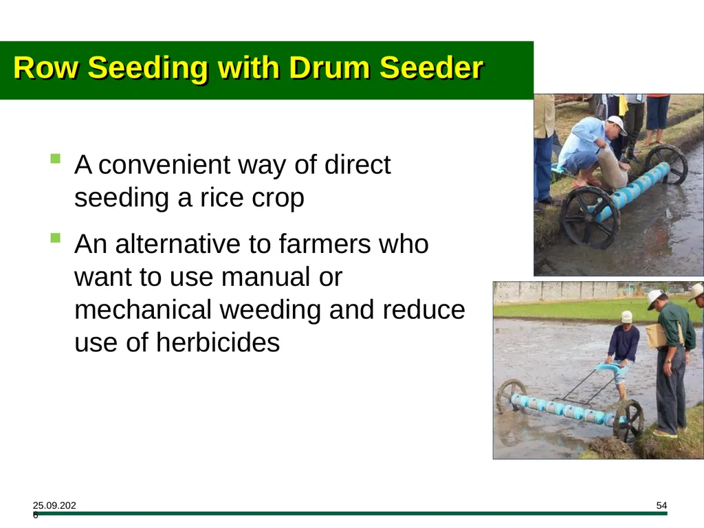 MODULE 7 Crop Establishment Objectives By the end - slide 54 of 99