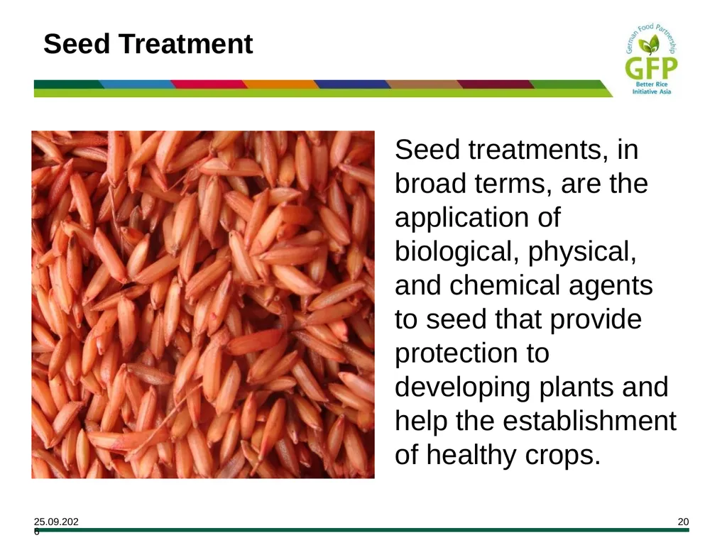MODULE 7 Crop Establishment Objectives By the end - slide 20 of 99
