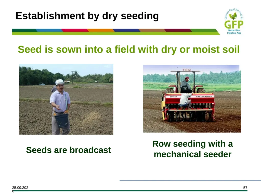 MODULE 7 Crop Establishment Objectives By the end - slide 57 of 99