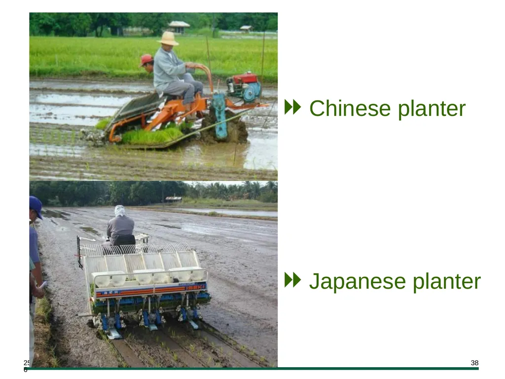 MODULE 7 Crop Establishment Objectives By the end - slide 38 of 99