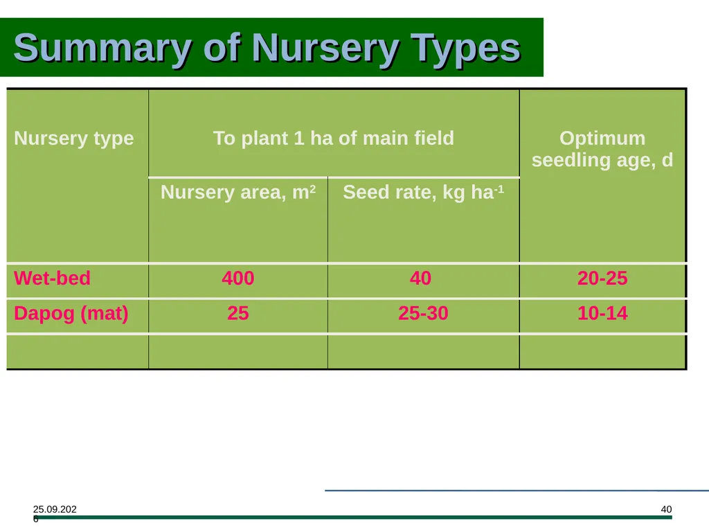 MODULE 7 Crop Establishment Objectives By the end - slide 40 of 99