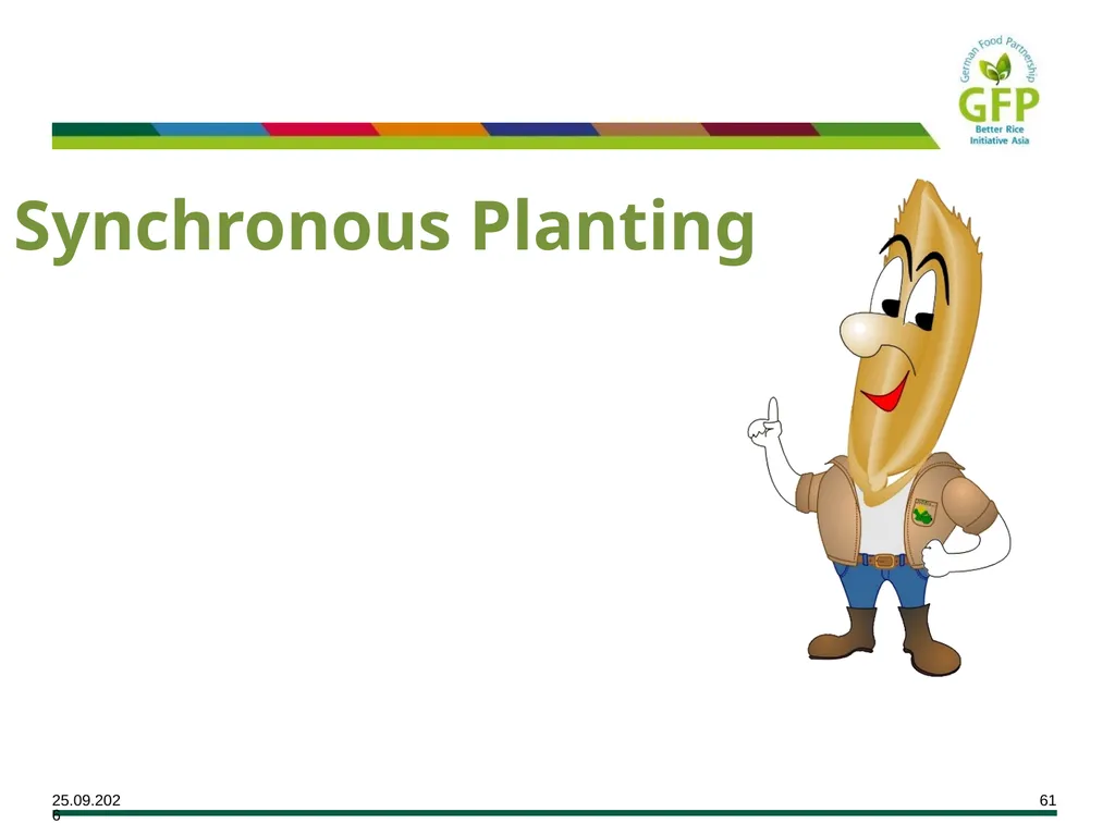 MODULE 7 Crop Establishment Objectives By the end - slide 61 of 99