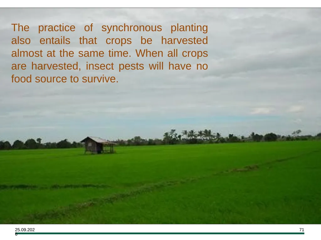 MODULE 7 Crop Establishment Objectives By the end - slide 71 of 99