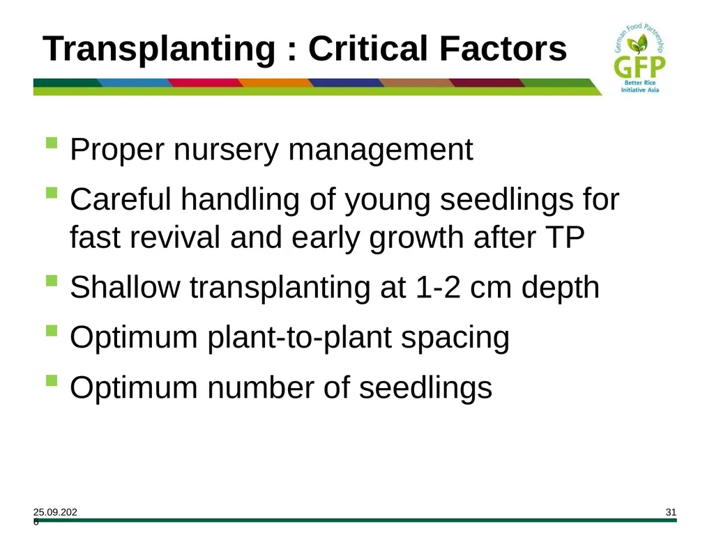 MODULE 7 Crop Establishment Objectives By the end - slide 31 of 99