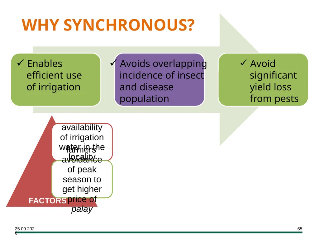 MODULE 7 Crop Establishment Objectives By the end - slide 65 of 99