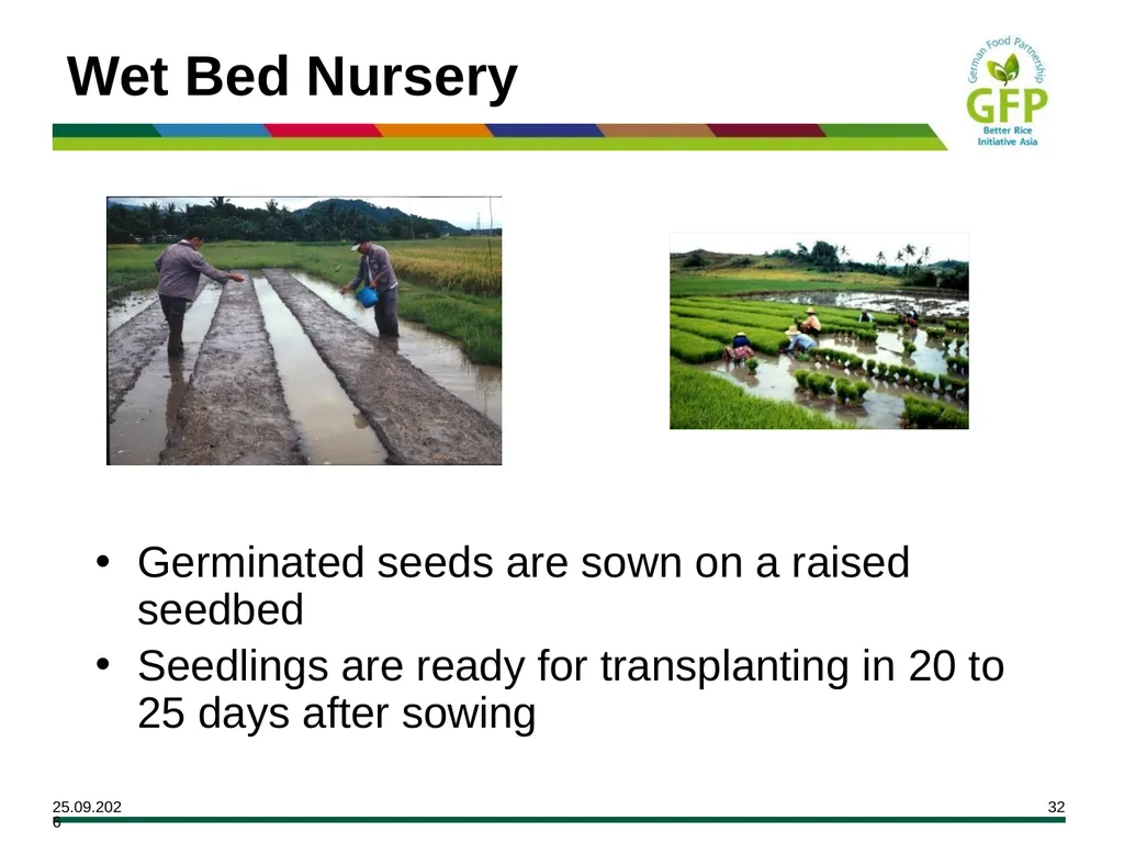MODULE 7 Crop Establishment Objectives By the end - slide 32 of 99