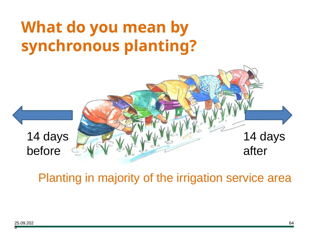 MODULE 7 Crop Establishment Objectives By the end - slide 64 of 99