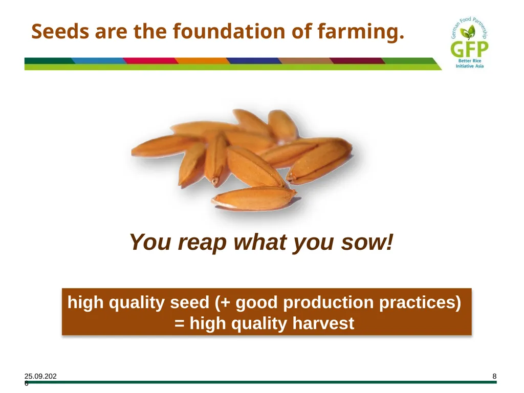 MODULE 7 Crop Establishment Objectives By the end - slide 8 of 99