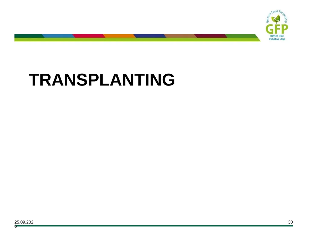MODULE 7 Crop Establishment Objectives By the end - slide 30 of 99