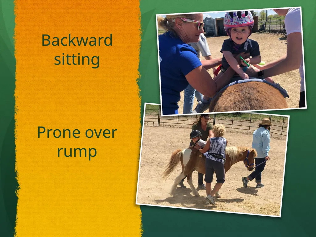 Hippotherapy Why Integrate Equine Movement as a - slide 27 of 29
