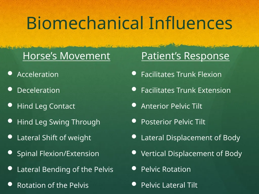 Hippotherapy Why Integrate Equine Movement as a - slide 10 of 29
