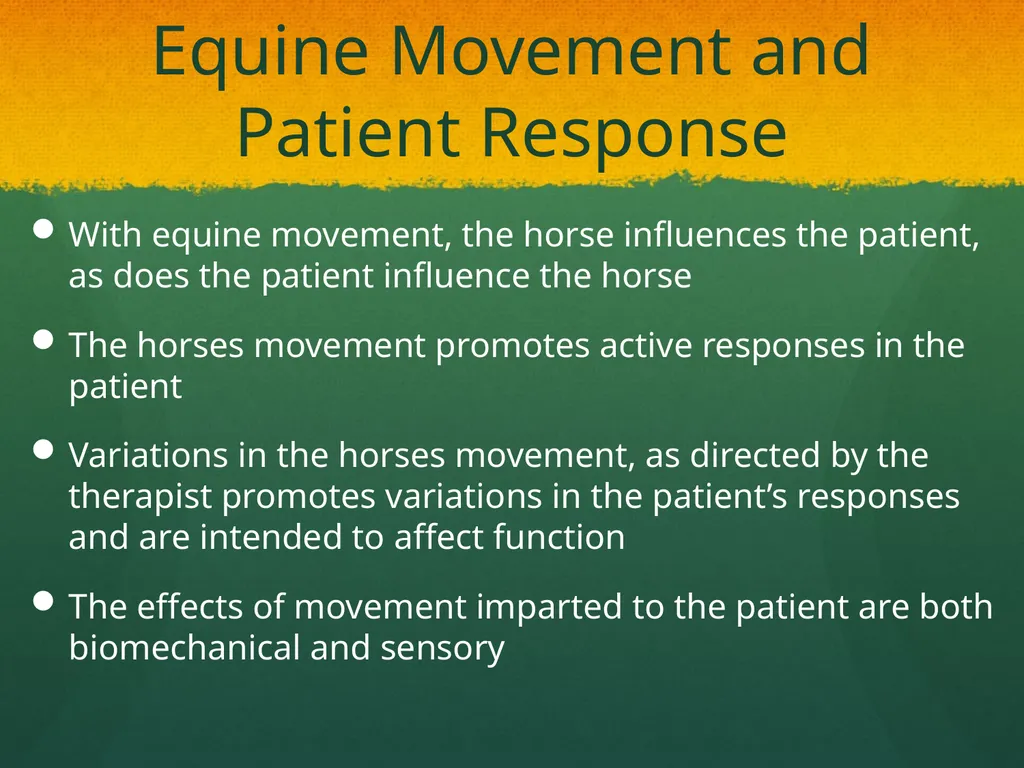 Hippotherapy Why Integrate Equine Movement as a - slide 9 of 29