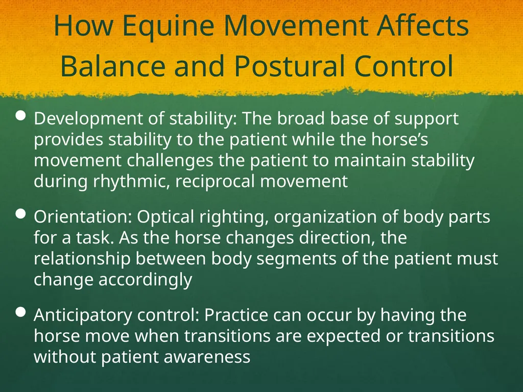 Hippotherapy Why Integrate Equine Movement as a - slide 17 of 29