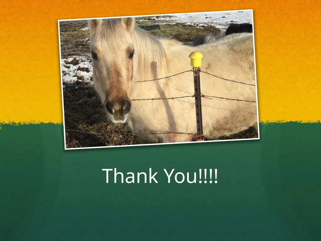 Hippotherapy Why Integrate Equine Movement as a - slide 29 of 29