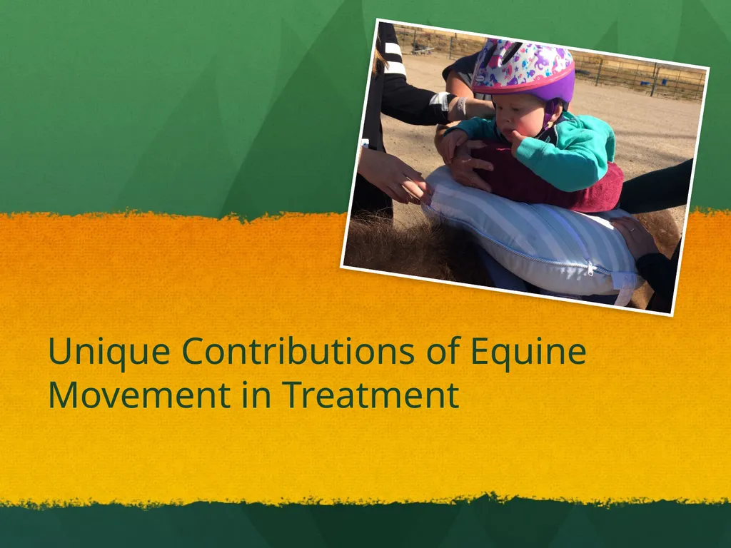 Hippotherapy Why Integrate Equine Movement as a - slide 16 of 29