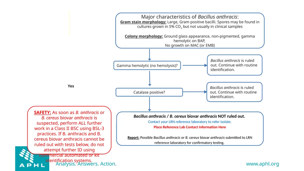 Agents of Bioterrorism Bacillus anthracis: Anthrax - slide 28 of 30