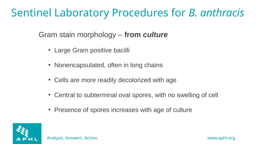 Agents of Bioterrorism Bacillus anthracis: Anthrax - slide 10 of 30