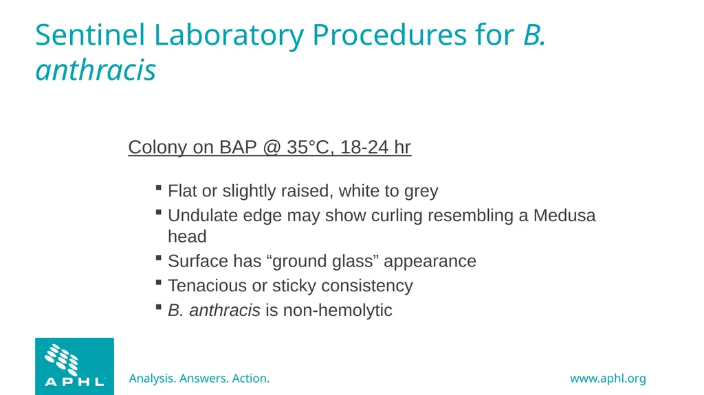 Agents of Bioterrorism Bacillus anthracis: Anthrax - slide 14 of 30