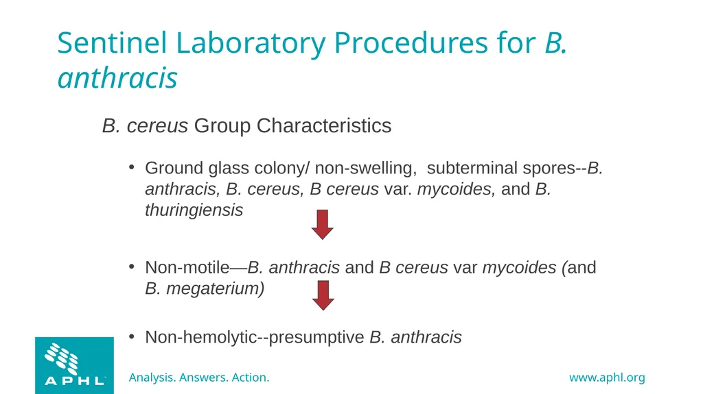 Agents of Bioterrorism Bacillus anthracis: Anthrax - slide 24 of 30