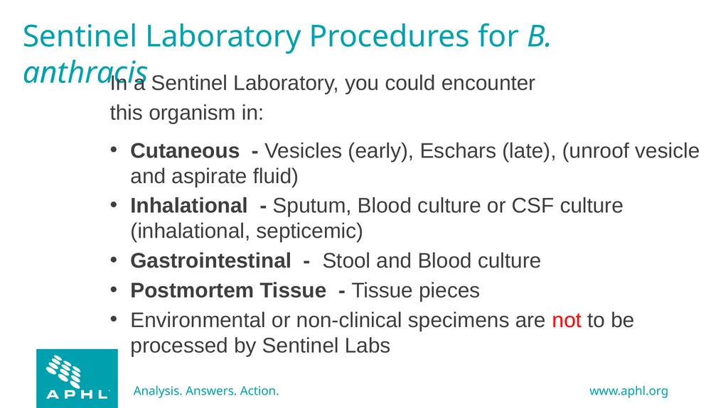 Agents of Bioterrorism Bacillus anthracis: Anthrax - slide 6 of 30