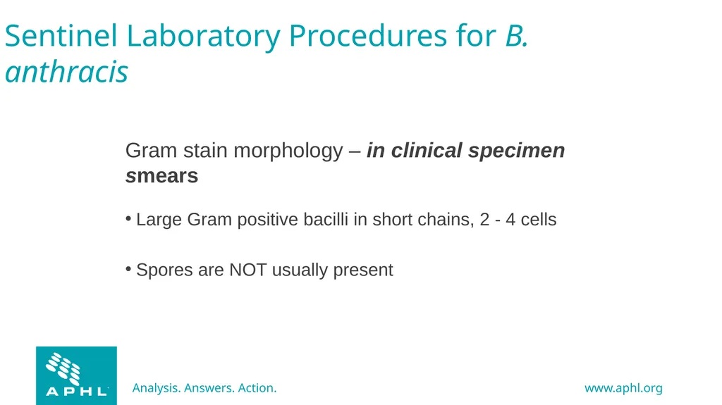 Agents of Bioterrorism Bacillus anthracis: Anthrax - slide 8 of 30