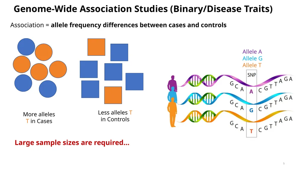Estimation of Heritability from GWAS Summary - slide 5 of 46