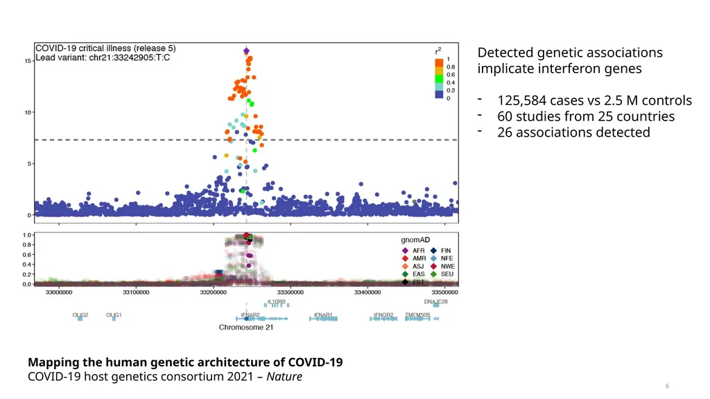 Estimation of Heritability from GWAS Summary - slide 6 of 46
