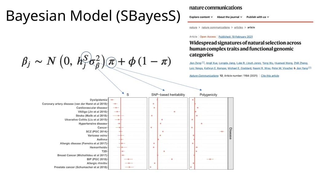 Estimation of Heritability from GWAS Summary - slide 41 of 46