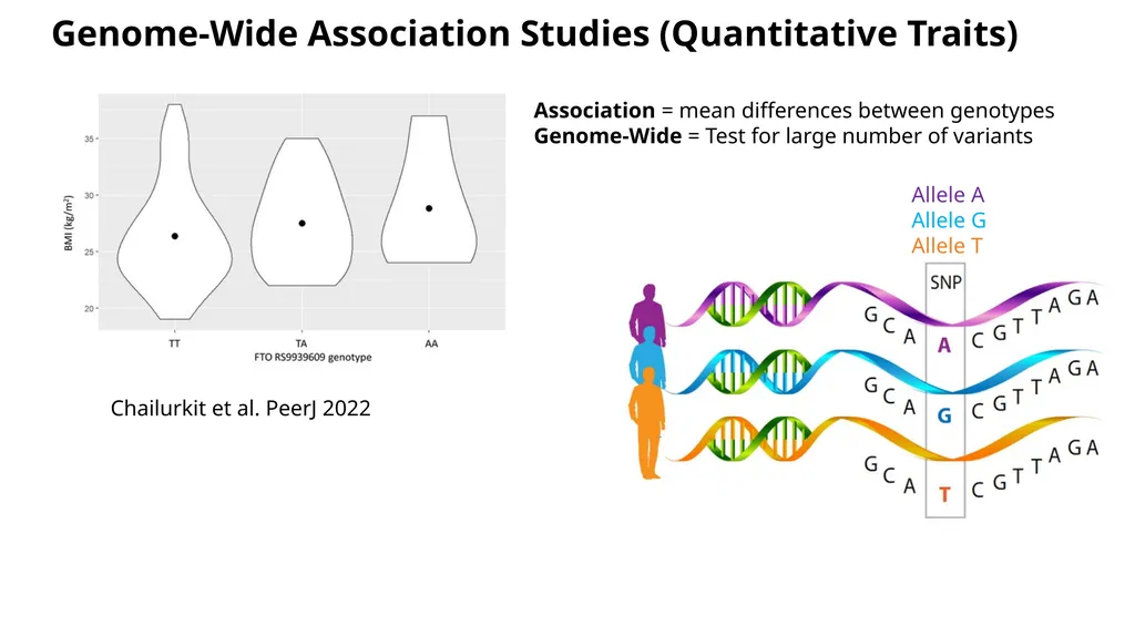 Estimation of Heritability from GWAS Summary - slide 4 of 46