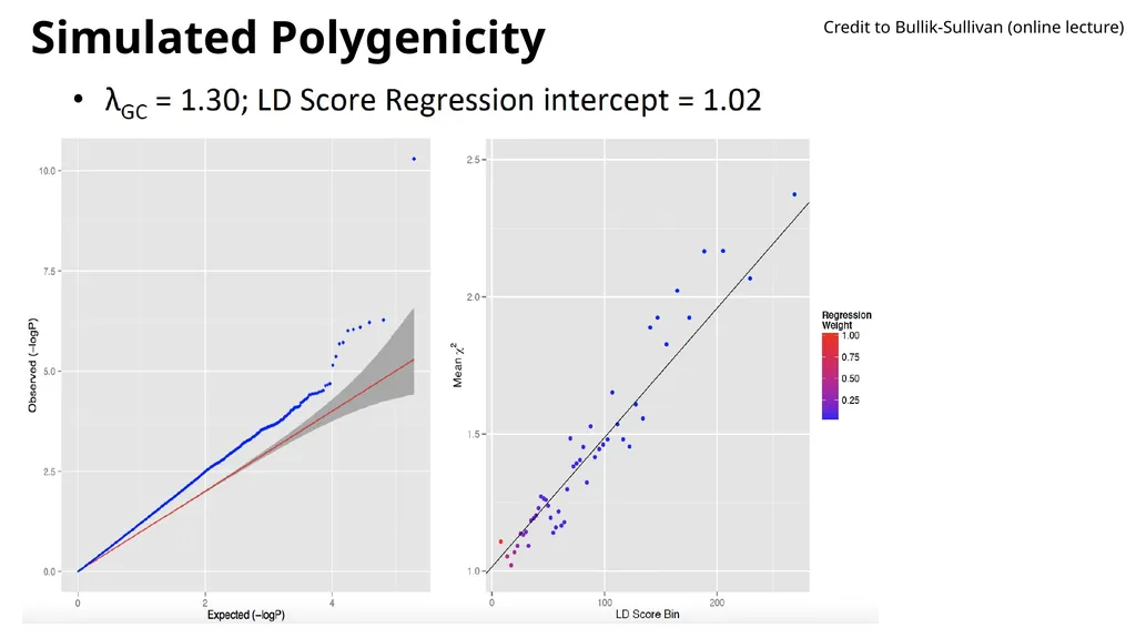 Estimation of Heritability from GWAS Summary - slide 18 of 46
