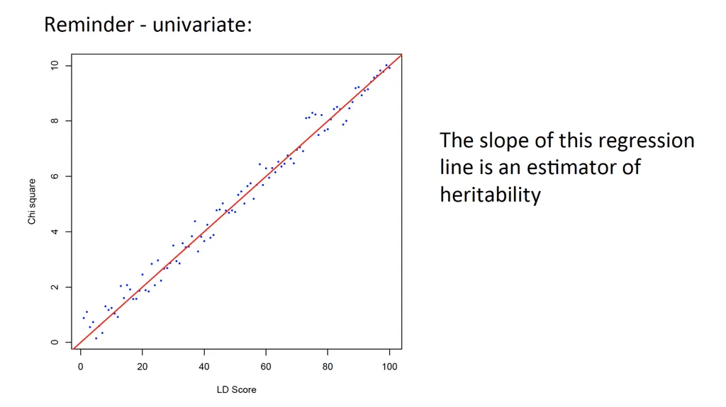 Estimation of Heritability from GWAS Summary - slide 30 of 46