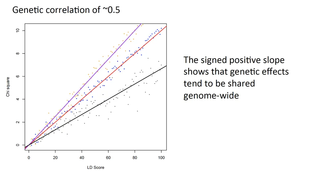 Estimation of Heritability from GWAS Summary - slide 33 of 46