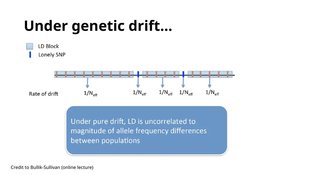 Estimation of Heritability from GWAS Summary - slide 16 of 46
