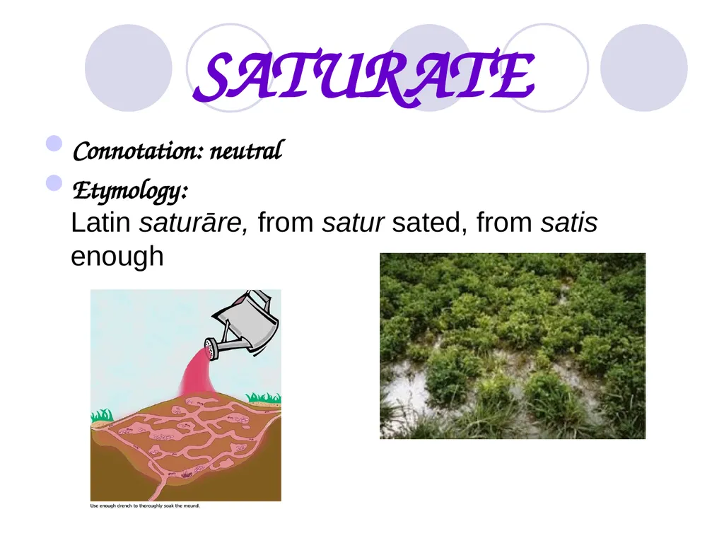 Level G Unit 8 Vocabulary Allege Connotation: - slide 22 of 24