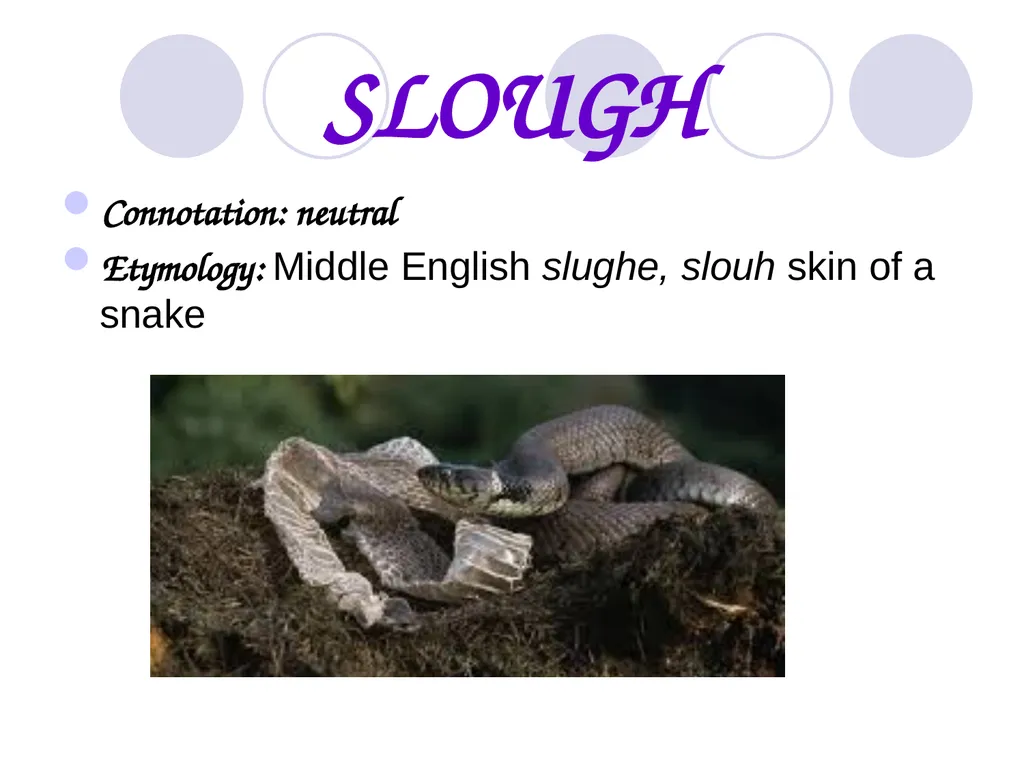 Level G Unit 8 Vocabulary Allege Connotation: - slide 24 of 24