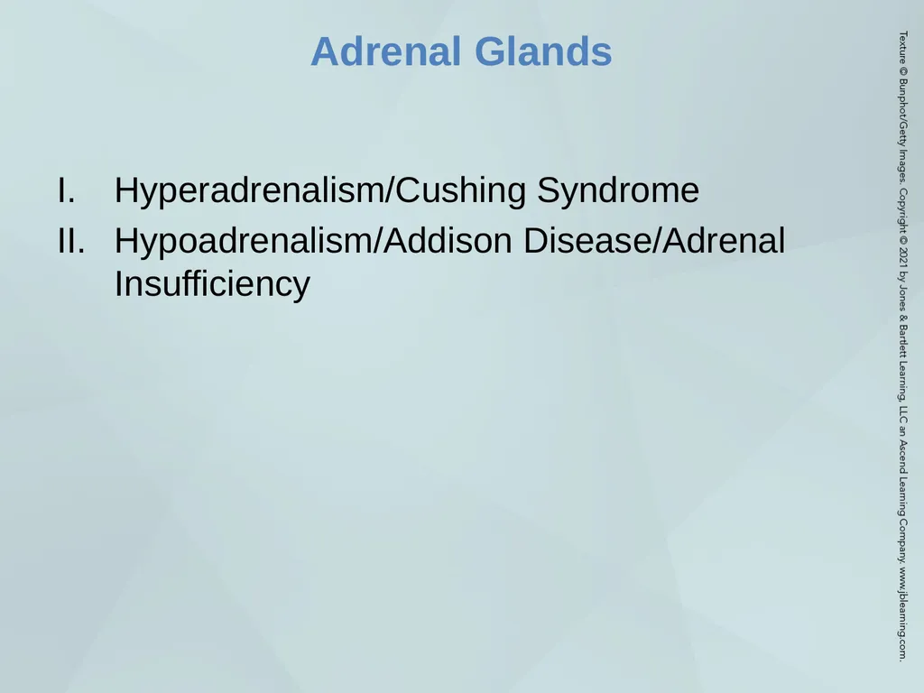 Chapter 53 The Patient with an Endocrine Disorder - slide 10 of 18