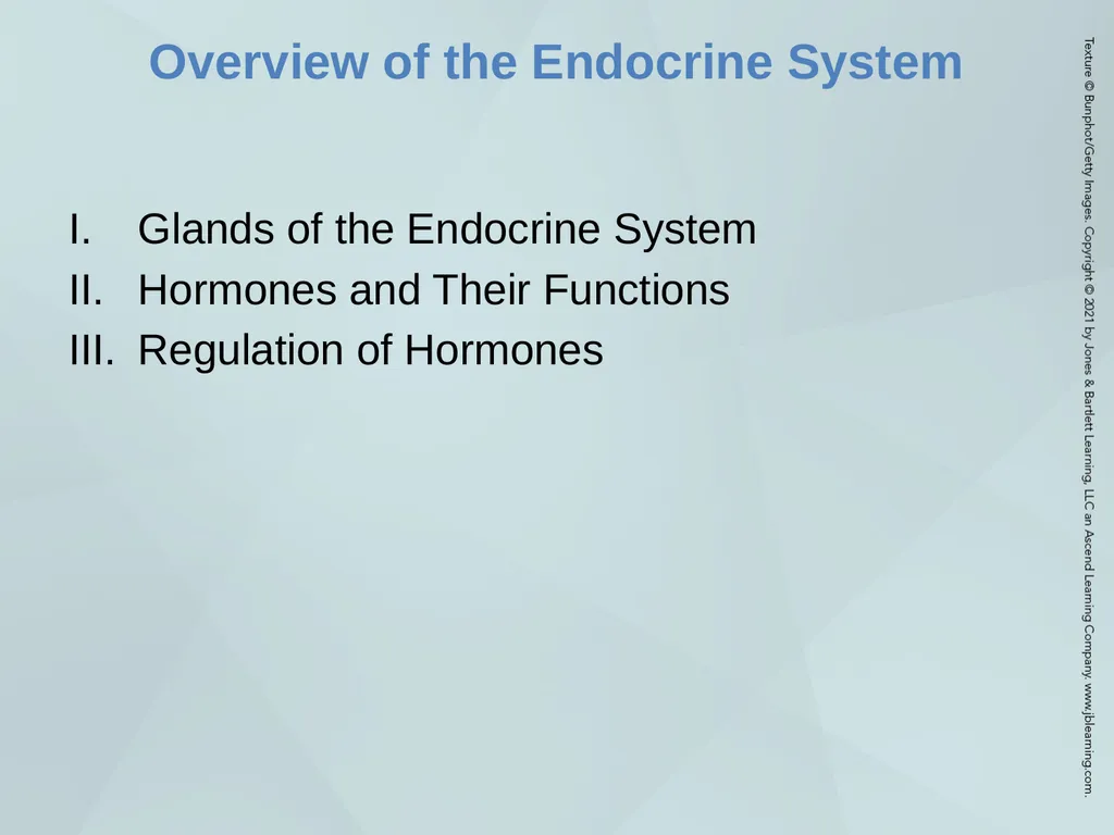 Chapter 53 The Patient with an Endocrine Disorder - slide 3 of 18