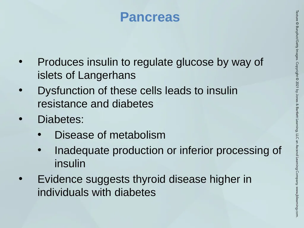 Chapter 53 The Patient with an Endocrine Disorder - slide 11 of 18