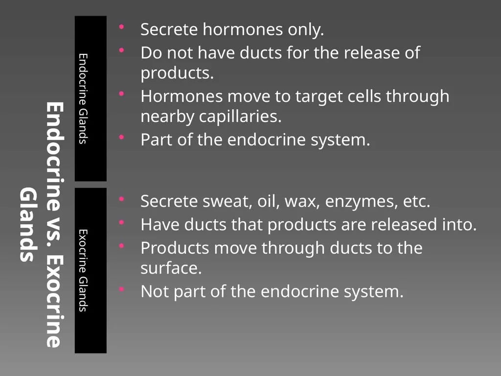 The Endocrine System Danny Graham Dierdre Mosbah - slide 8 of 45
