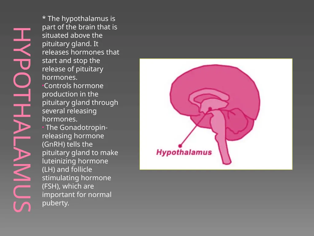 The Endocrine System Danny Graham Dierdre Mosbah - slide 12 of 45
