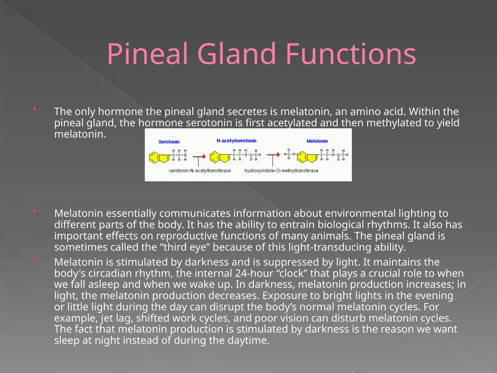 The Endocrine System Danny Graham Dierdre Mosbah - slide 18 of 45
