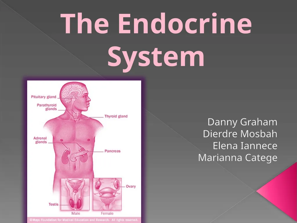 The Endocrine System Danny Graham Dierdre Mosbah - slide 1 of 45
