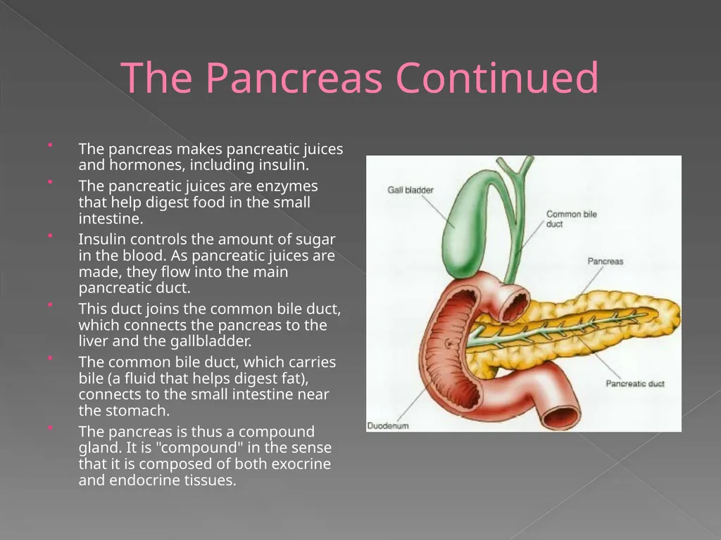 The Endocrine System Danny Graham Dierdre Mosbah - slide 37 of 45