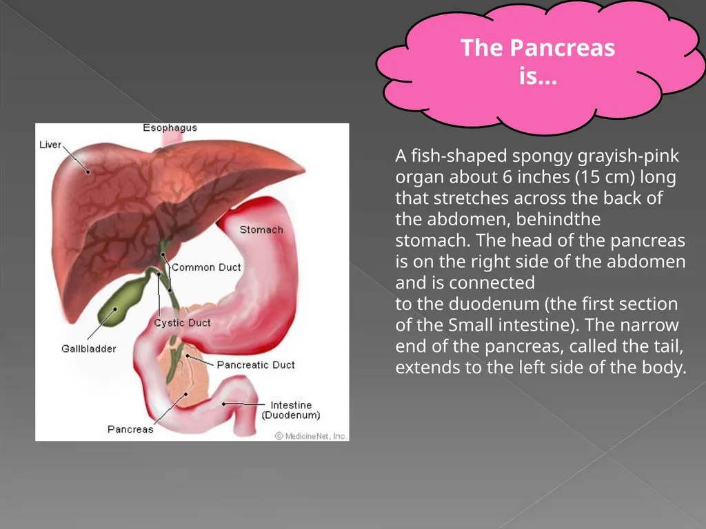The Endocrine System Danny Graham Dierdre Mosbah - slide 36 of 45