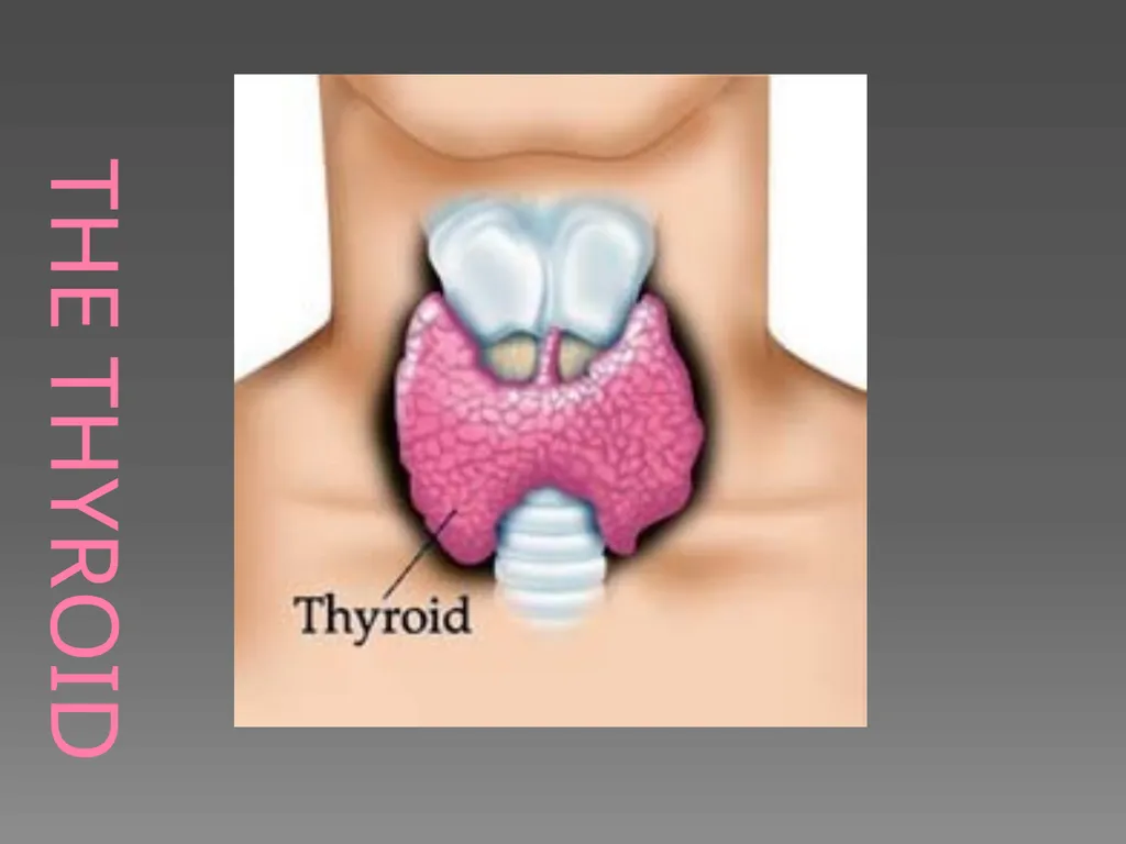 The Endocrine System Danny Graham Dierdre Mosbah - slide 26 of 45