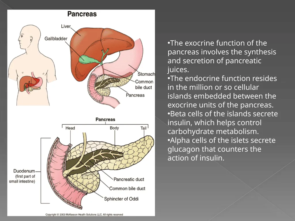 The Endocrine System Danny Graham Dierdre Mosbah - slide 38 of 45