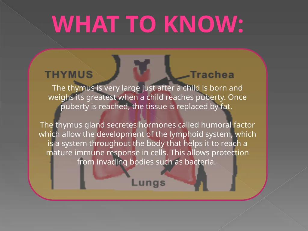 The Endocrine System Danny Graham Dierdre Mosbah - slide 16 of 45