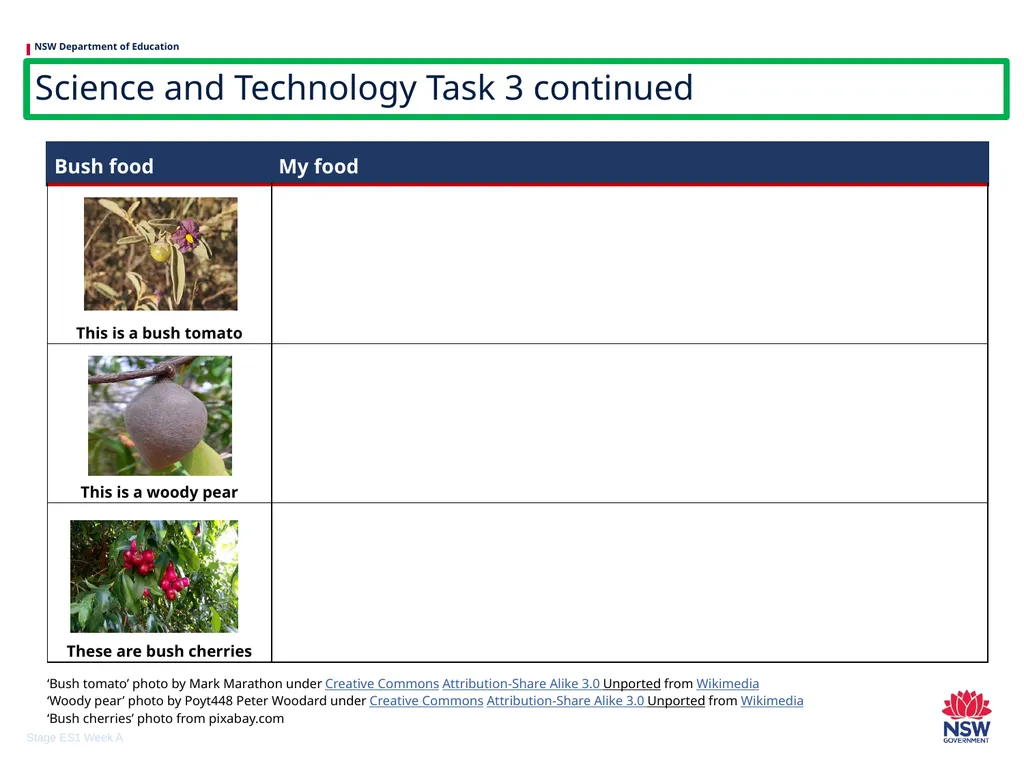 Early Stage 1 One unit of work – sample A - slide 22 of 38